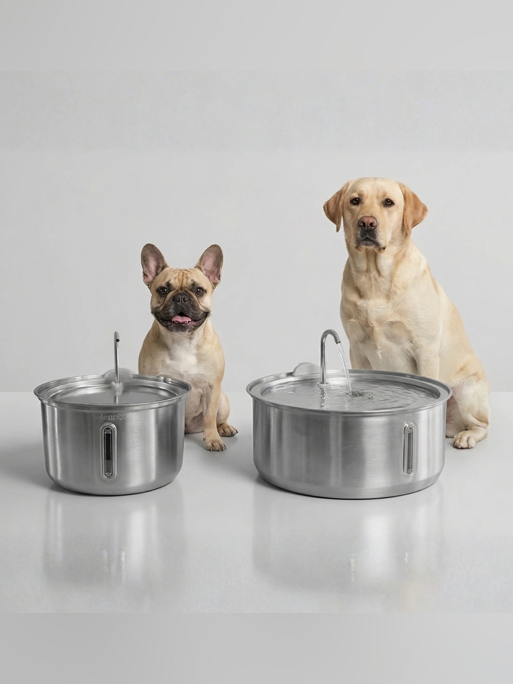 SELENE🐾💧Pet Fountain